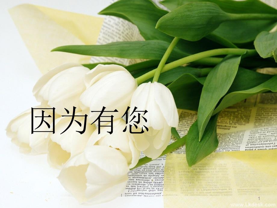 教师节主题班会___绝对经典___绝对课件_第1页