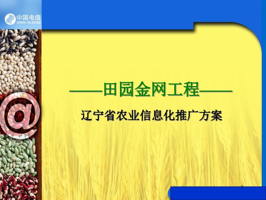 农业信息化案例分析课件_第1页