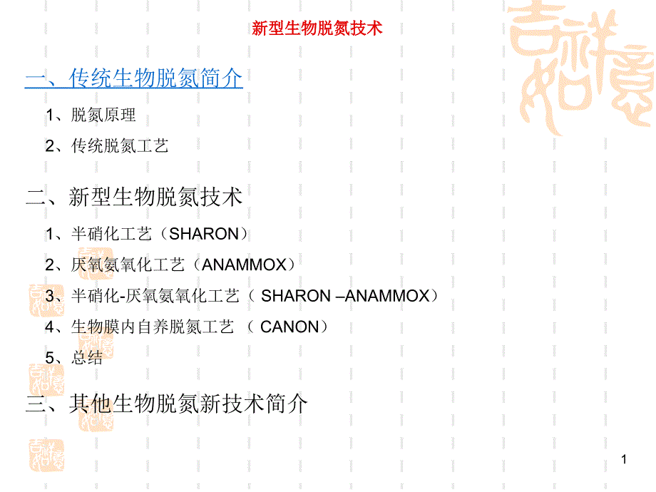 新型生物脱氮技术课件_第1页