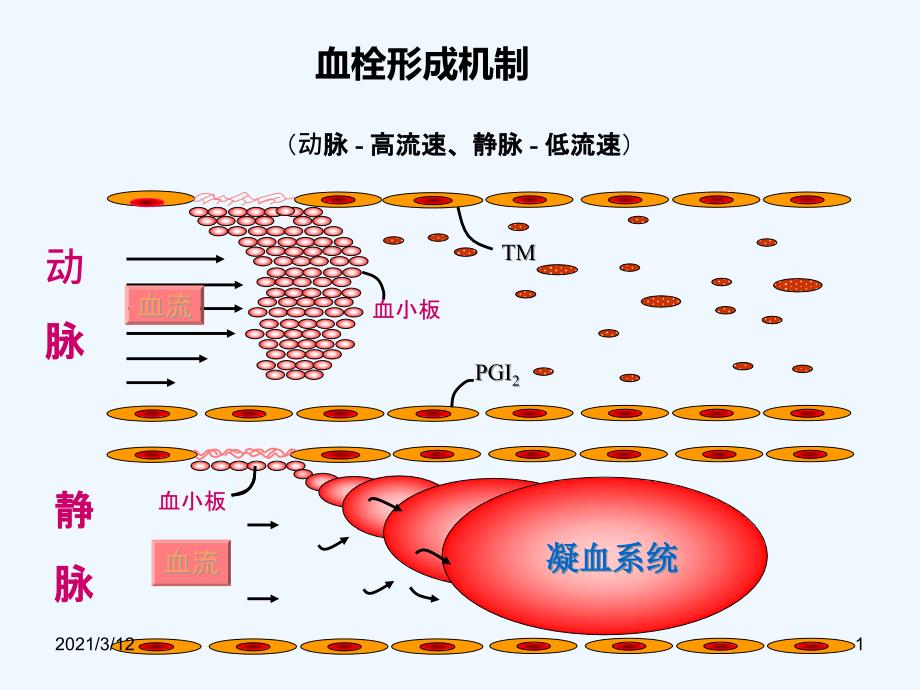 抗凝药物合理应用课件_第1页