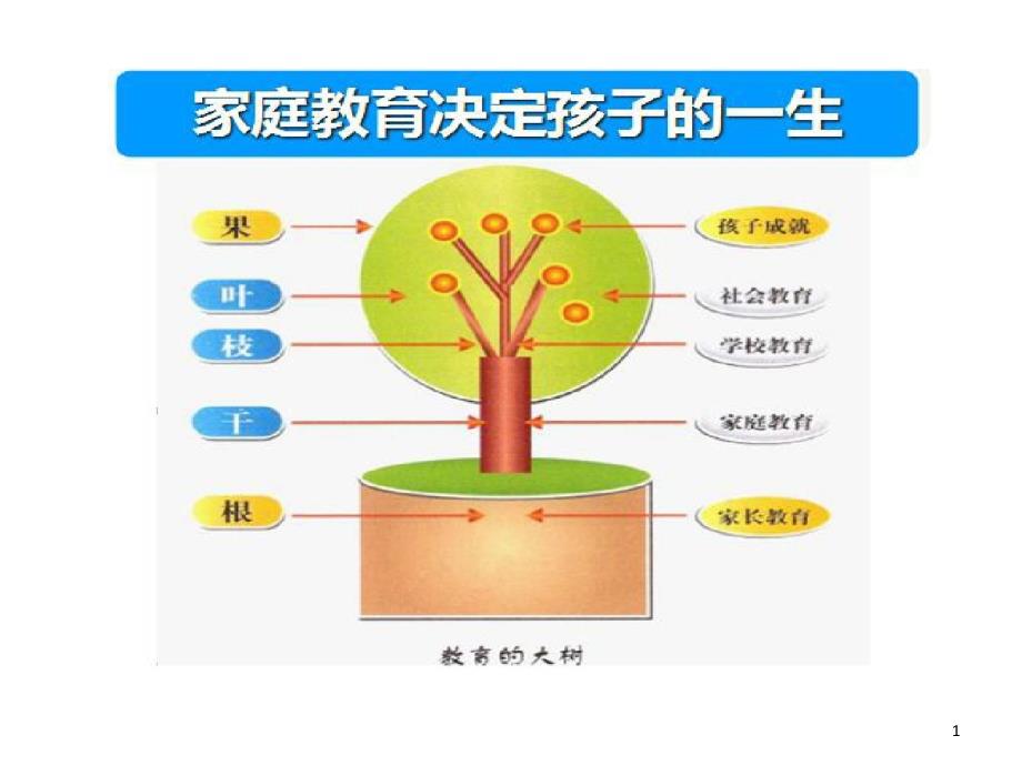 孩子成长规律与关键期教育课件_第1页