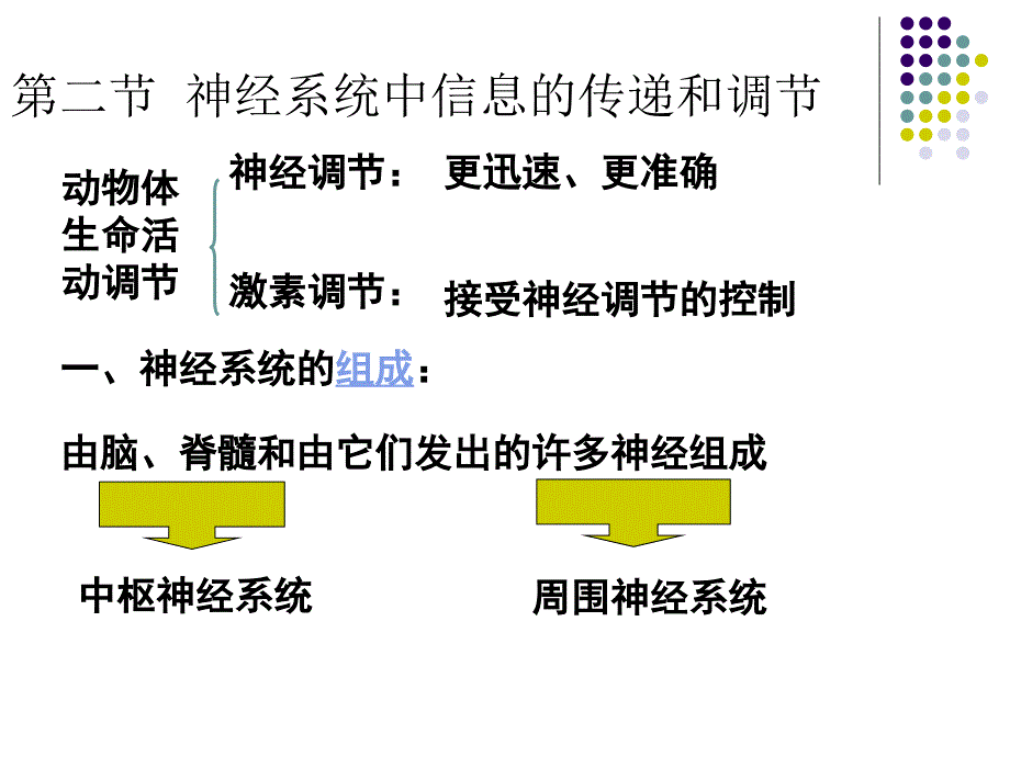 沪科版生命科学高二上5-2《神经系统中信息的传递和调节》课件_第1页