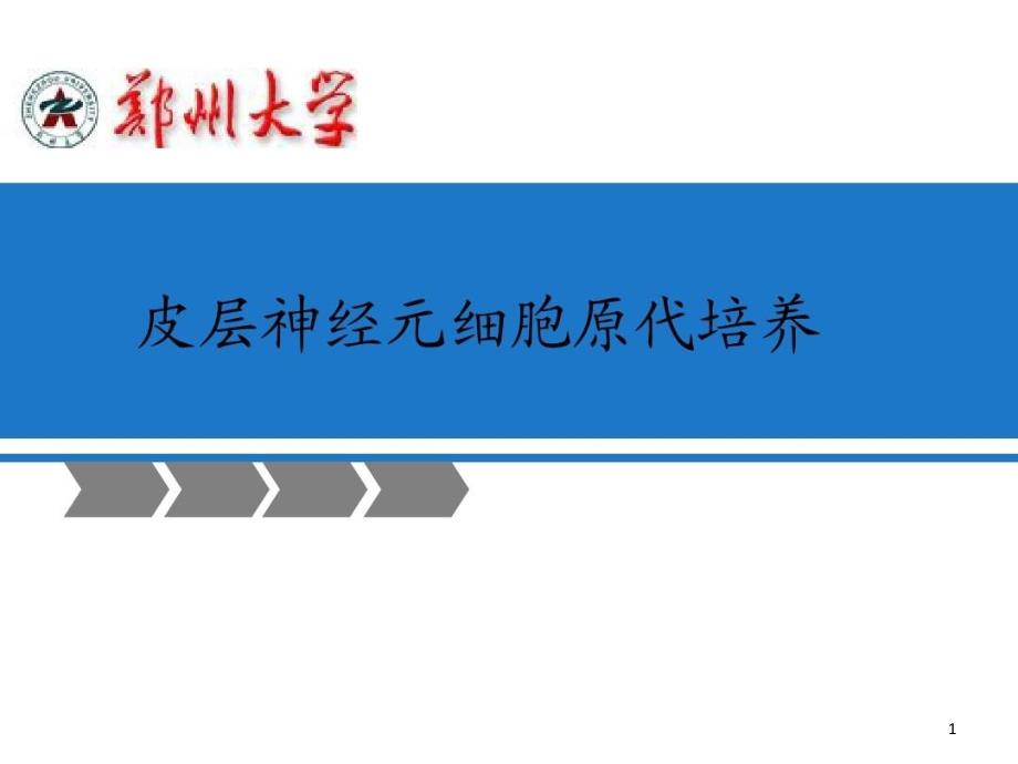 大鼠皮层神经元细胞原代培养课件_第1页