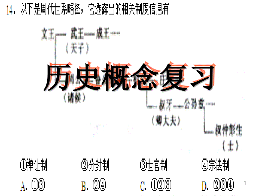 历史概念复习课件_第1页