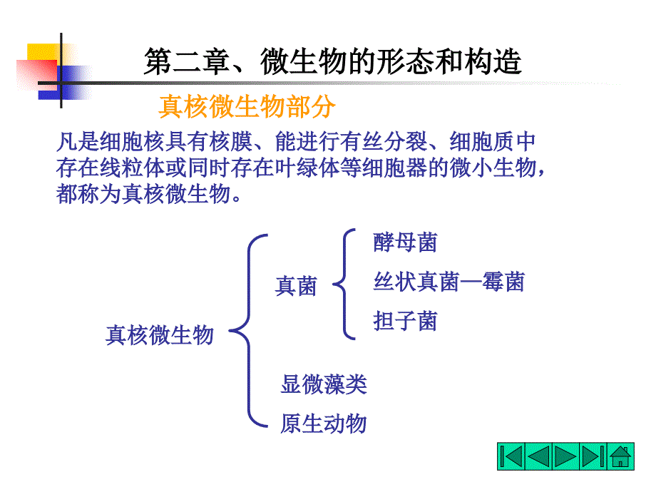 微生物的形态和构造课件_第1页