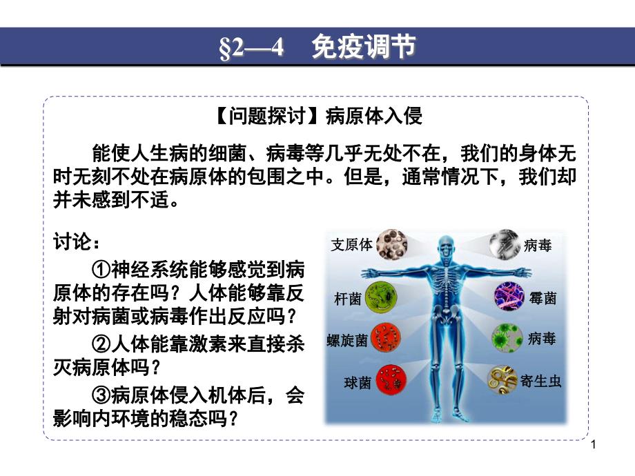 免疫细胞-牡丹江一中课件_第1页