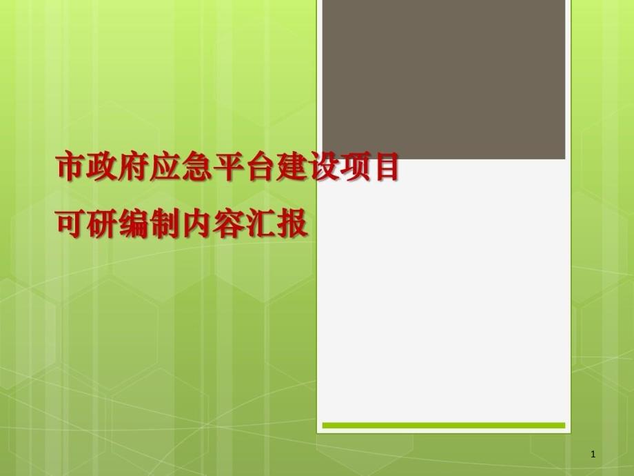 可研编制情况汇报课件_第1页