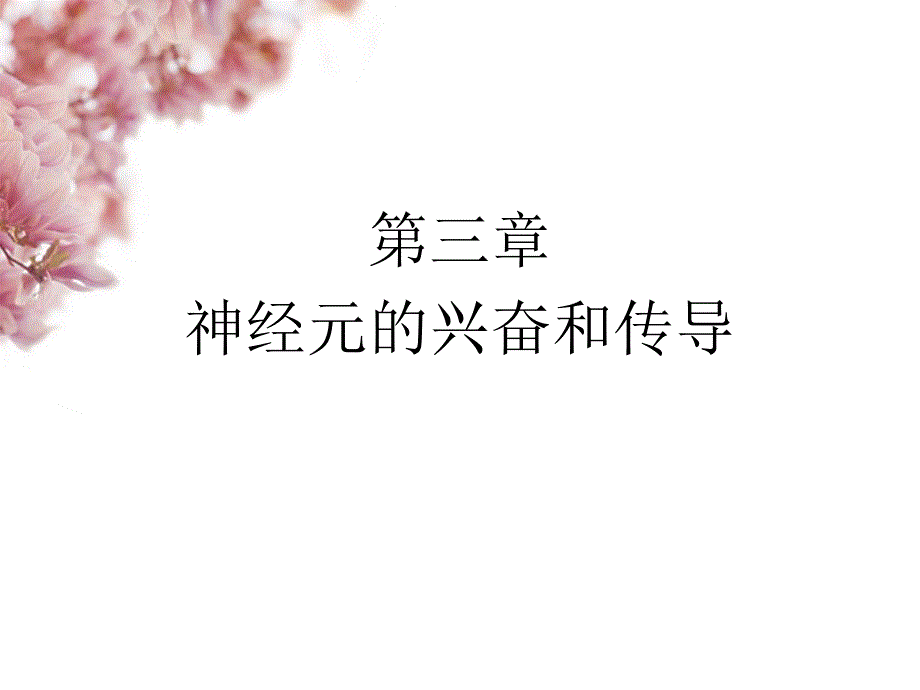 第三篇-神经元的兴奋和传导课件_第1页