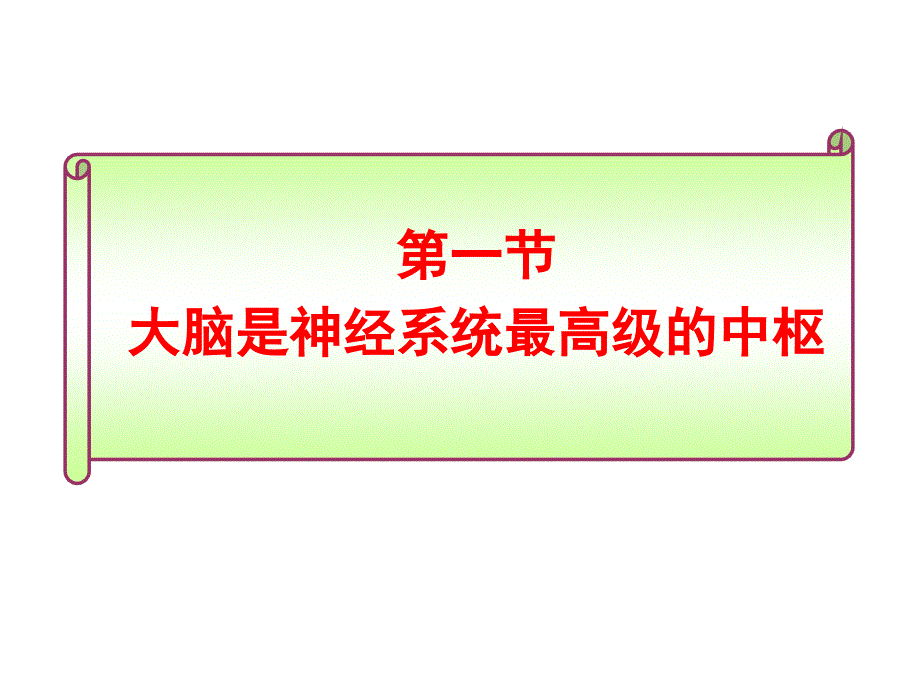 大脑是神经系统最高级的中枢课件_第1页