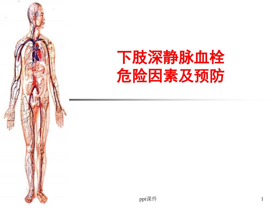 深靜脈血栓危險(xiǎn)因素及預(yù)防--課件_第1頁