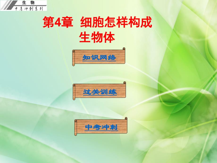 初中生物中考基础梳理复习第4章：细胞怎样构成生物体-人教版课件_第1页