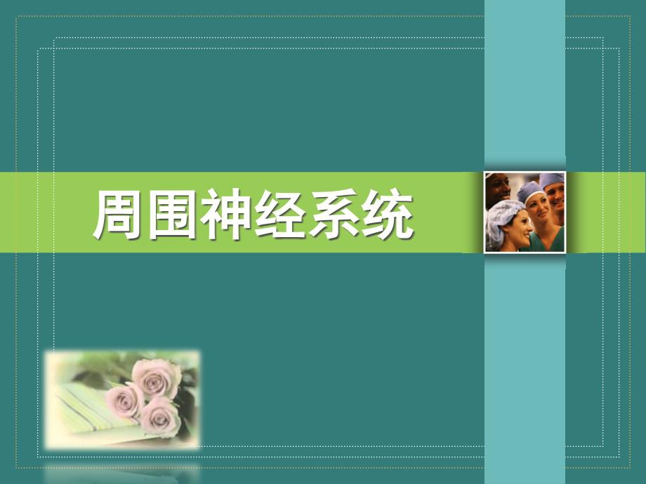 人体解剖学课件10-3周围神经系统-康复_第1页