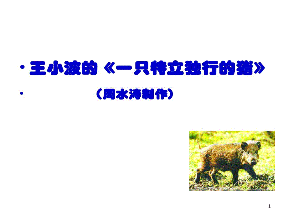 王小波-特立独行猪48张课件_第1页