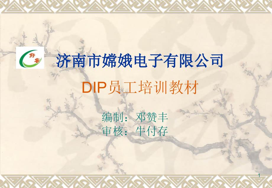 完整DIP员工培训教材课件_第1页