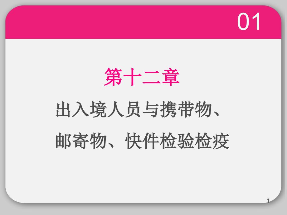 报检实务-第12章-出入境人员与携带物、邮寄物、快件检验检疫课件_第1页