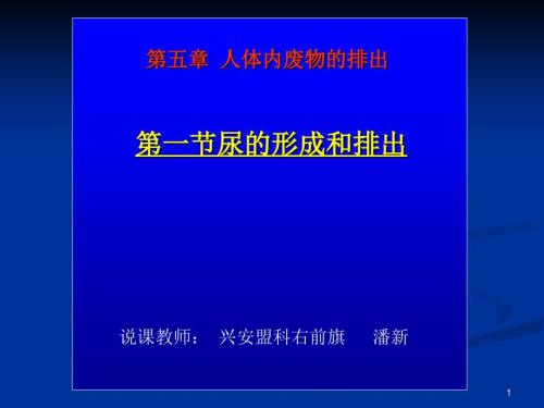 潘新《尿的形成和排出》說課課件精講