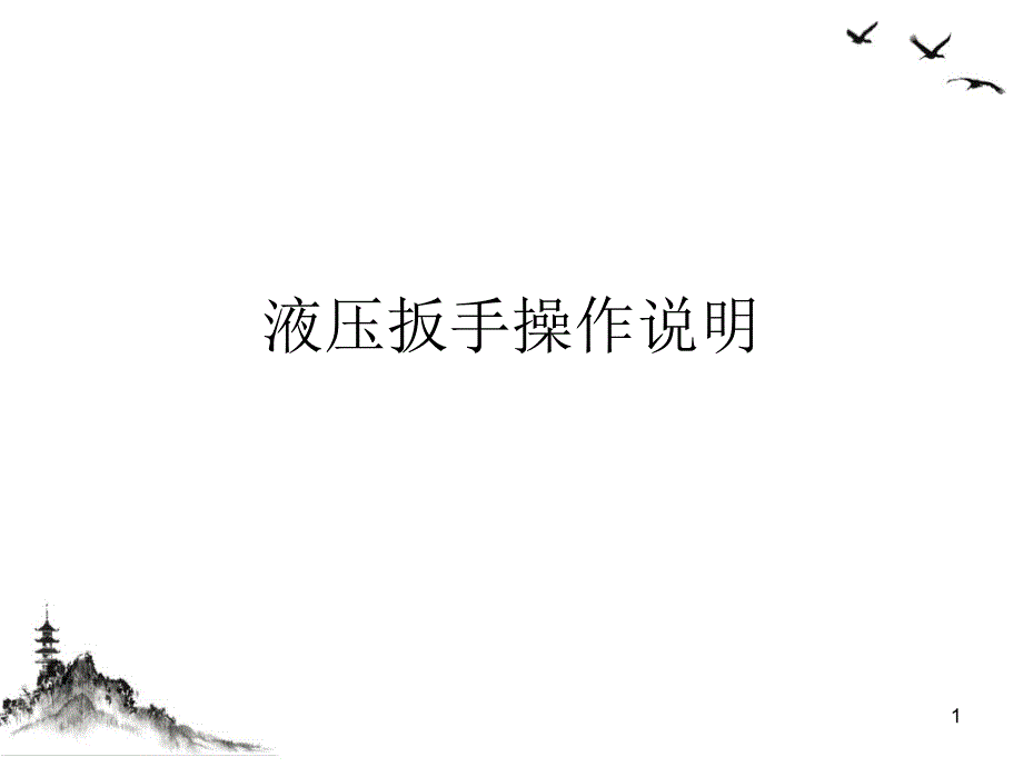 液压扳手操作说明课件_第1页