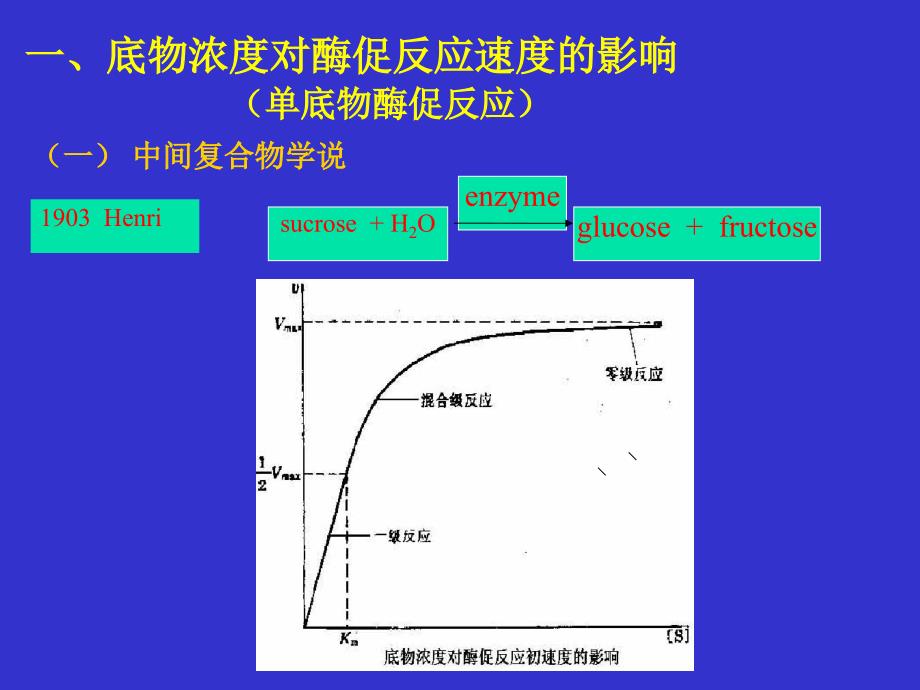 第10章--酶动力学课件_第1页