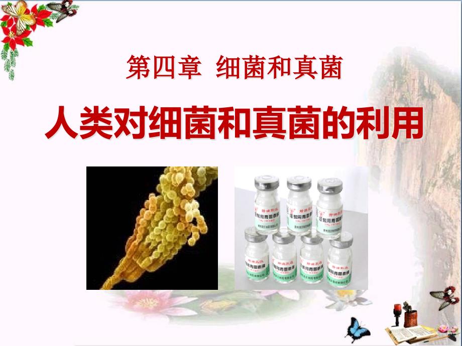 人类对细菌和真菌的利用-细菌和真菌优秀课件8_第1页