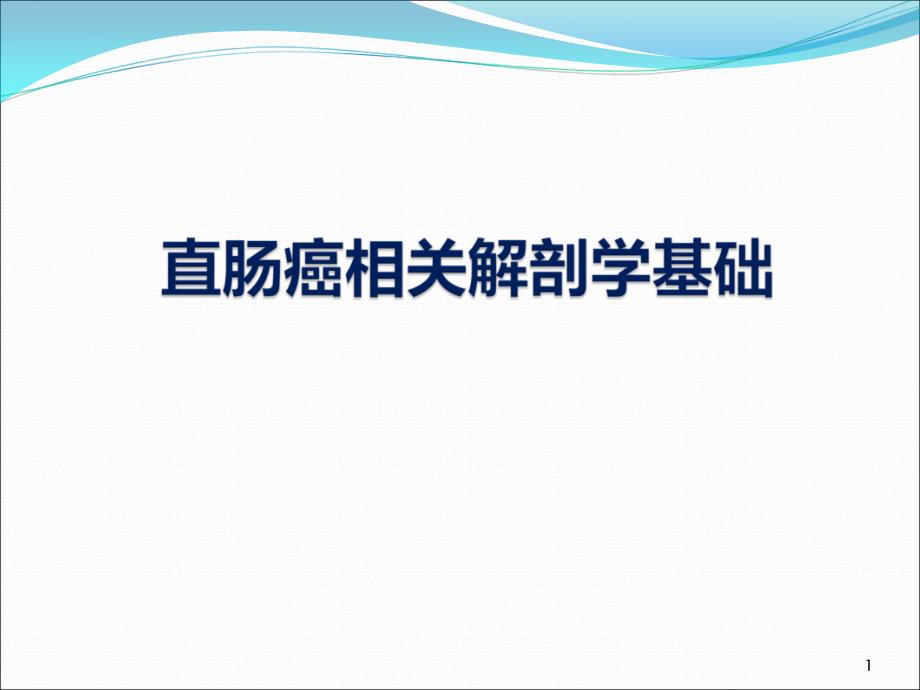 直肠相关解剖学基础课件_第1页