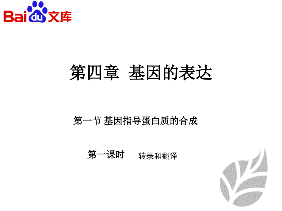 基因指导蛋白质的合成课件-生物高二必修二第四章第一节人教版_第1页