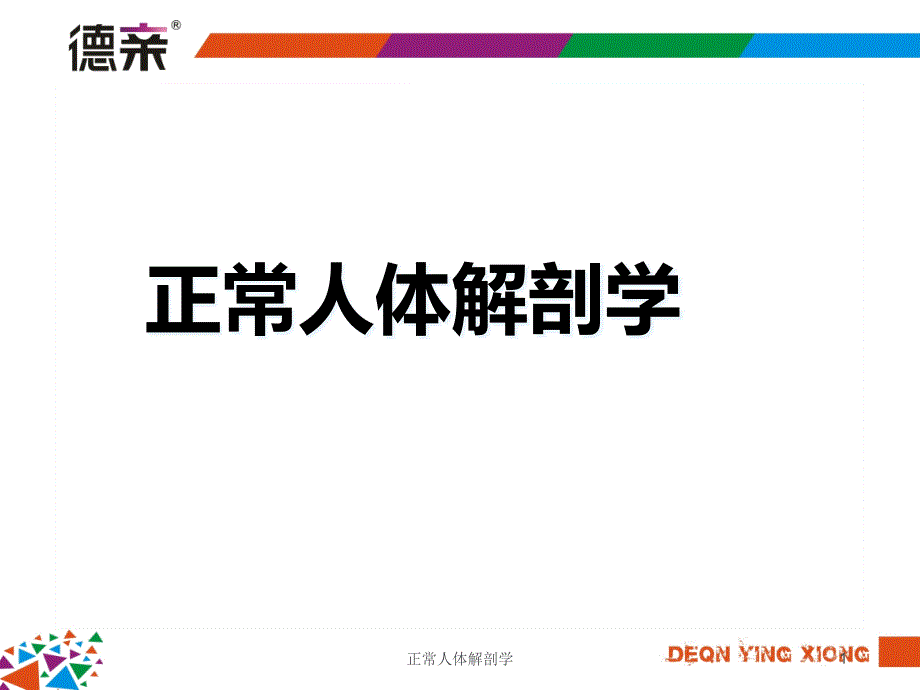 正常人体解剖学课件_第1页