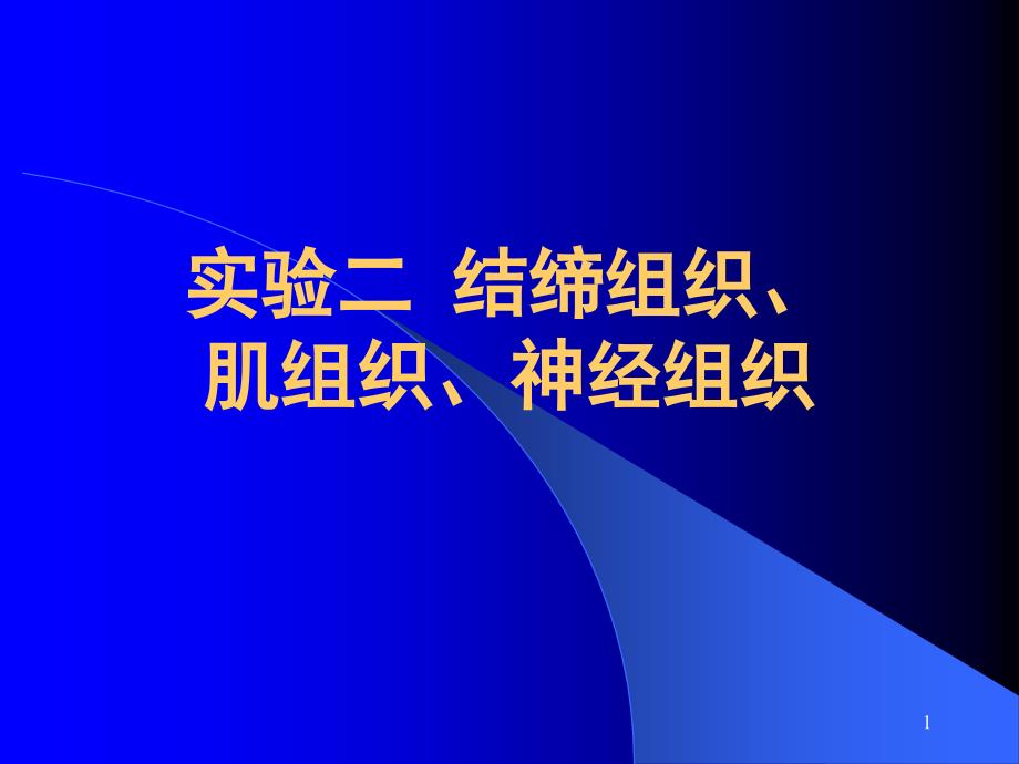 实验二 结缔组织 肌组织 神经组织课件_第1页