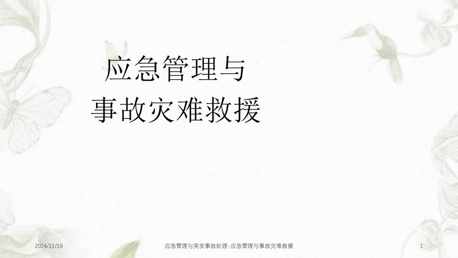 应急管理与突发事故处理-应急管理与事故灾难救援课件_第1页