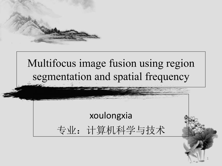 图像融合报告课件_第1页