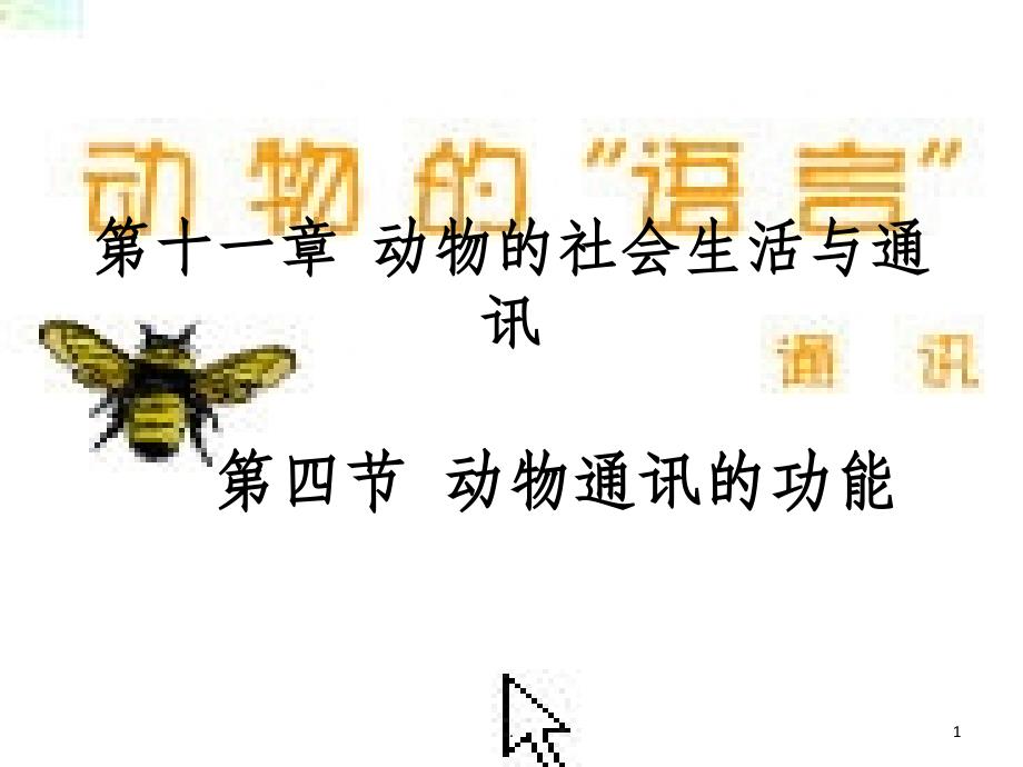 第十一章--动物的社会生活与通讯课件_第1页