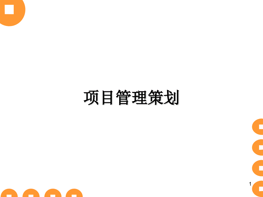 某公司项目管理策划方案_第1页