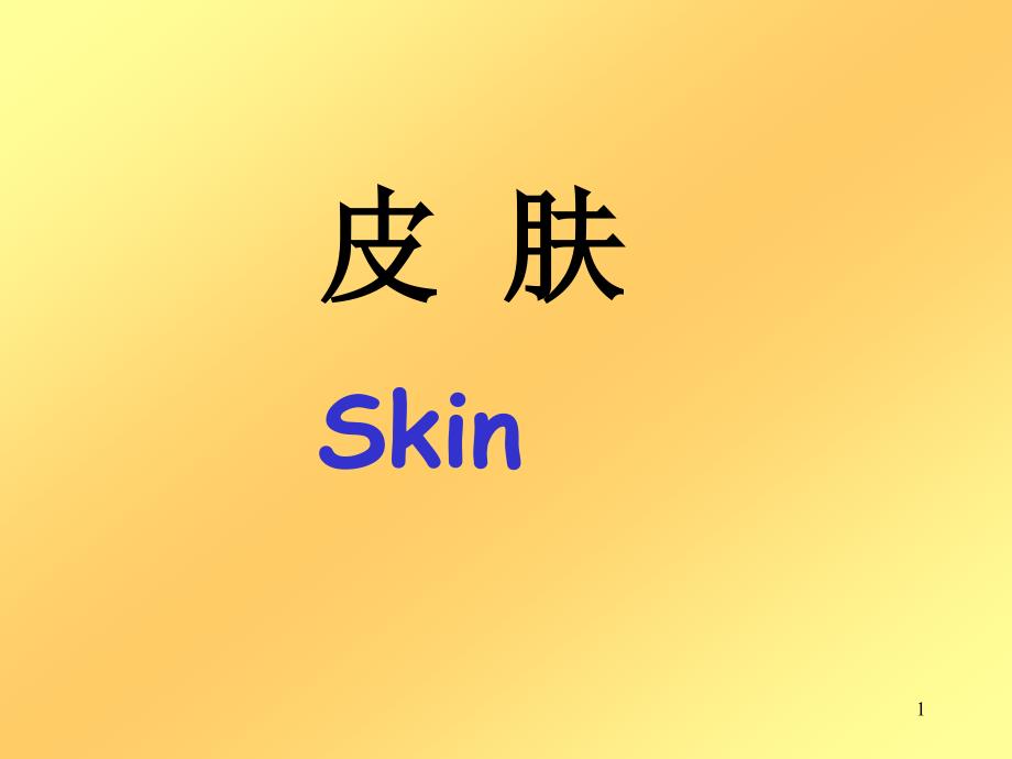 皮肤skin-- 组织学与胚胎学课件_第1页