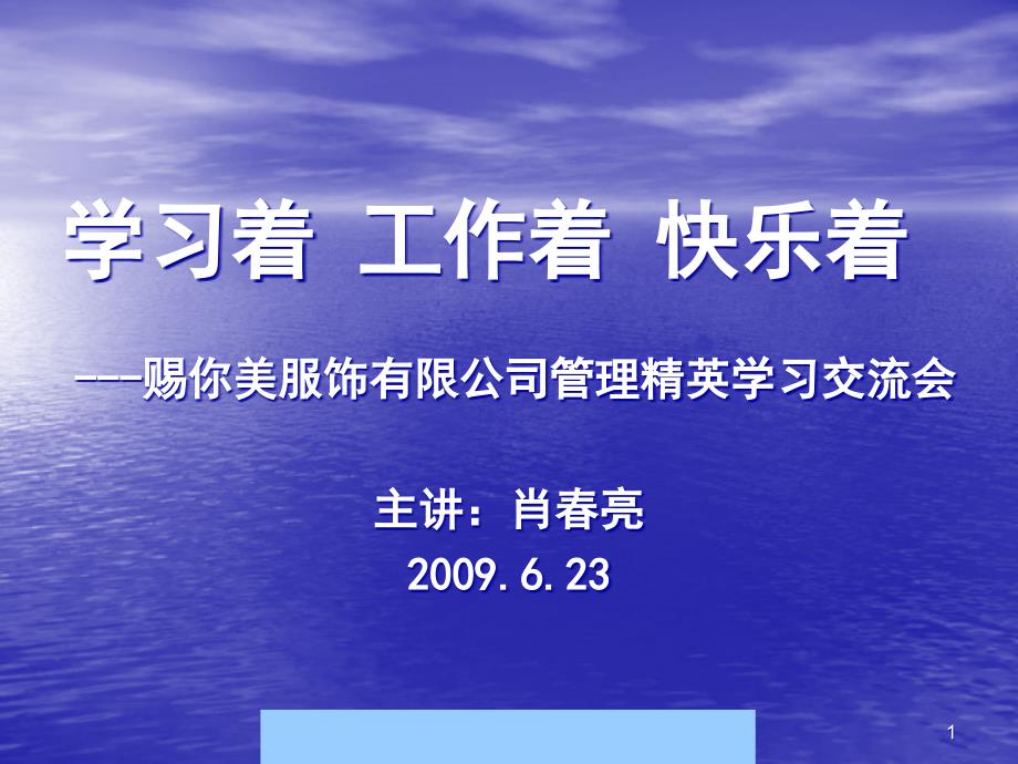 你美服饰有限公司管理精英学习交流资料--肖亮亮课件_第1页