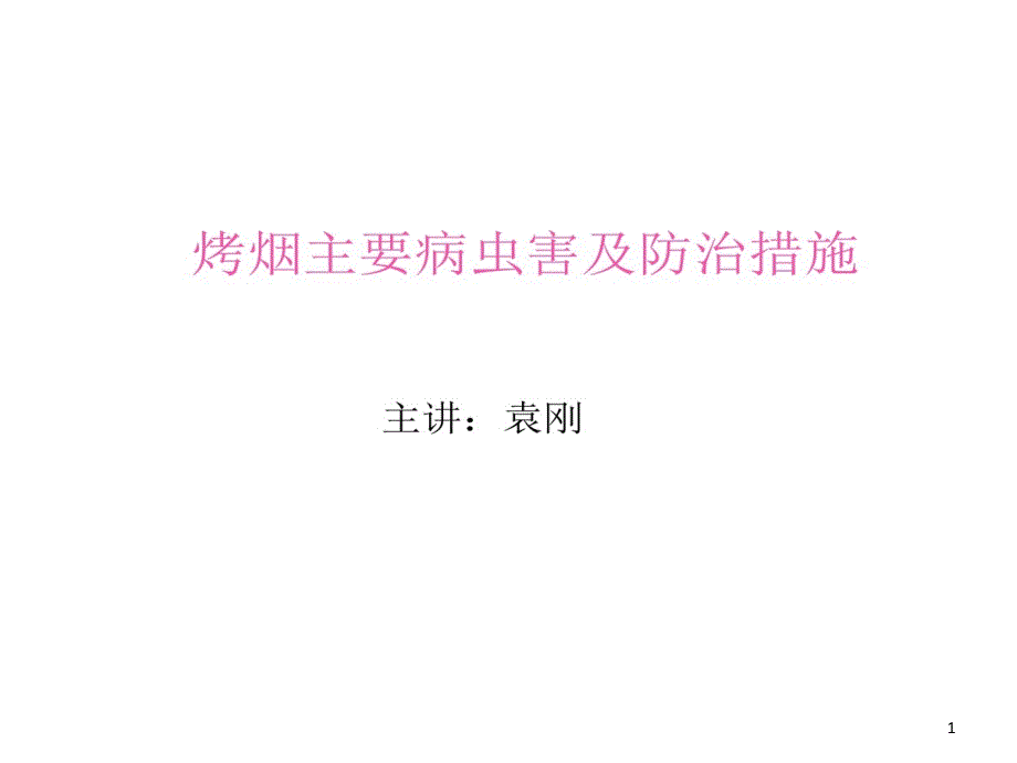 烤烟主要病虫害及防治的措施课件_第1页