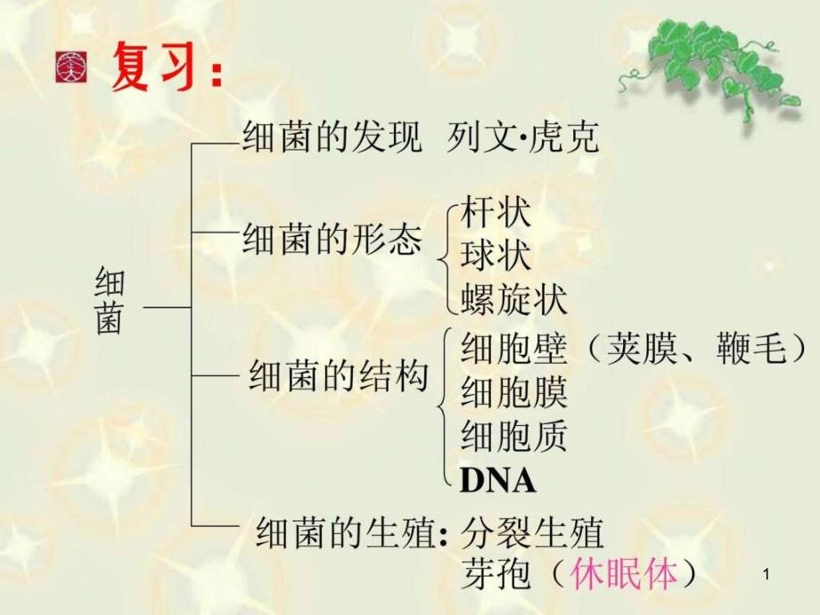 新人教版第三节真菌课件_第1页