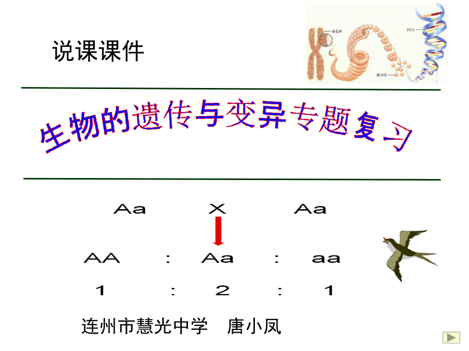 生物的遗传与变异课件_第1页