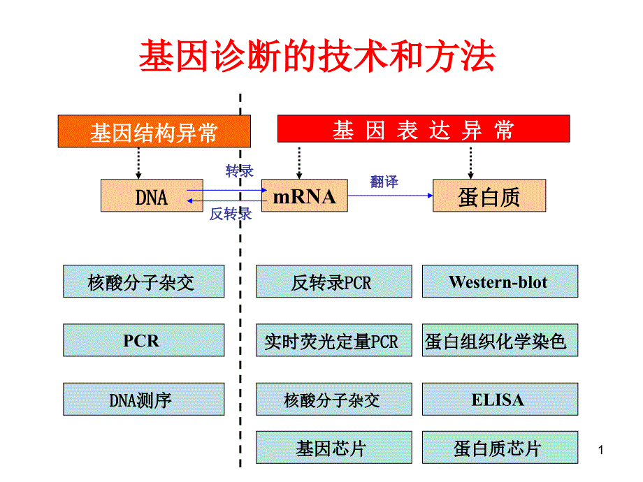 感染性疾病的分子诊断课件_第1页