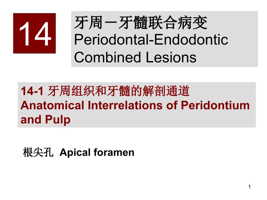 牙周牙髓联合病变课件_第1页