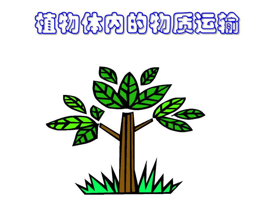 植物体内的物质运输课件_第1页