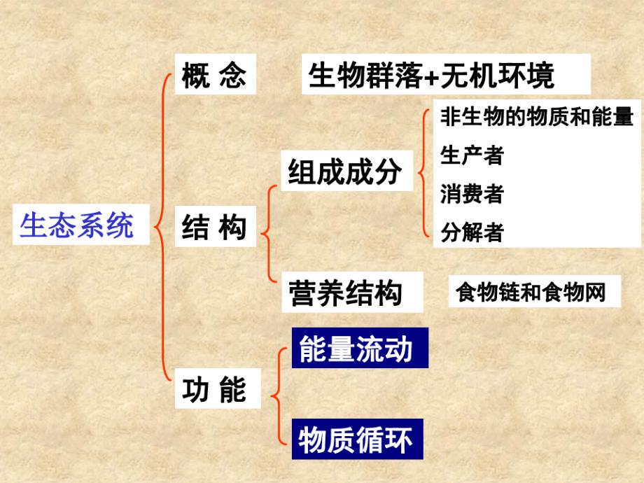 生态系统的能量流动课件_第1页