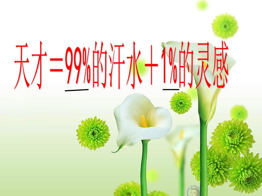 新北师大版六年级数学上册《百分数的认识》优质课课件-2_第1页