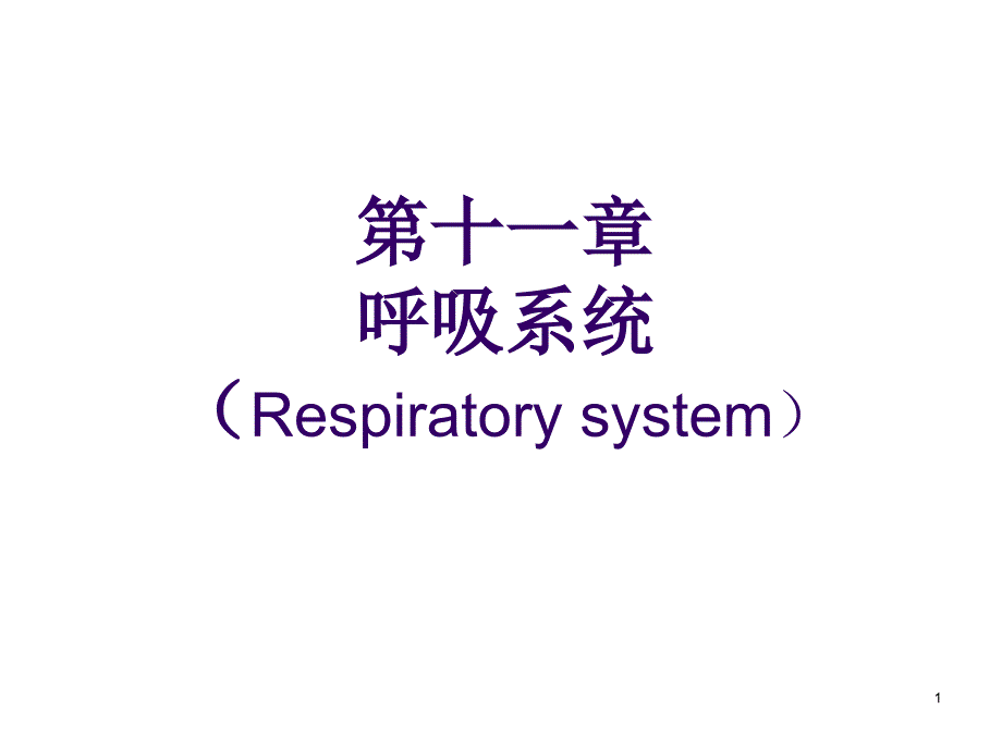 第十一章呼吸系统 动物组织胚胎学课件_第1页