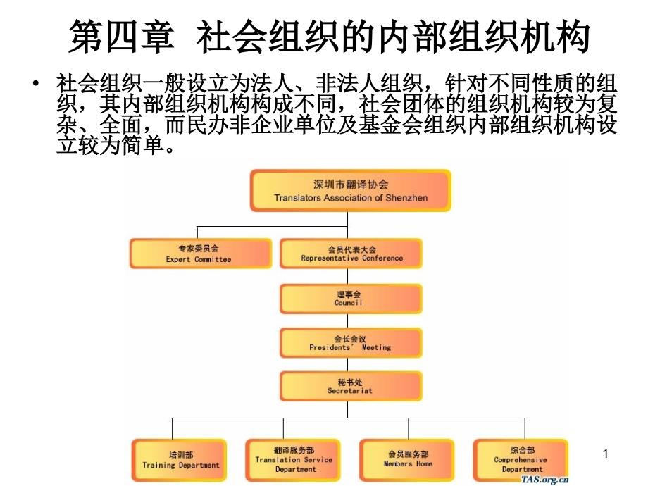 社会组织的内部机构课件_第1页