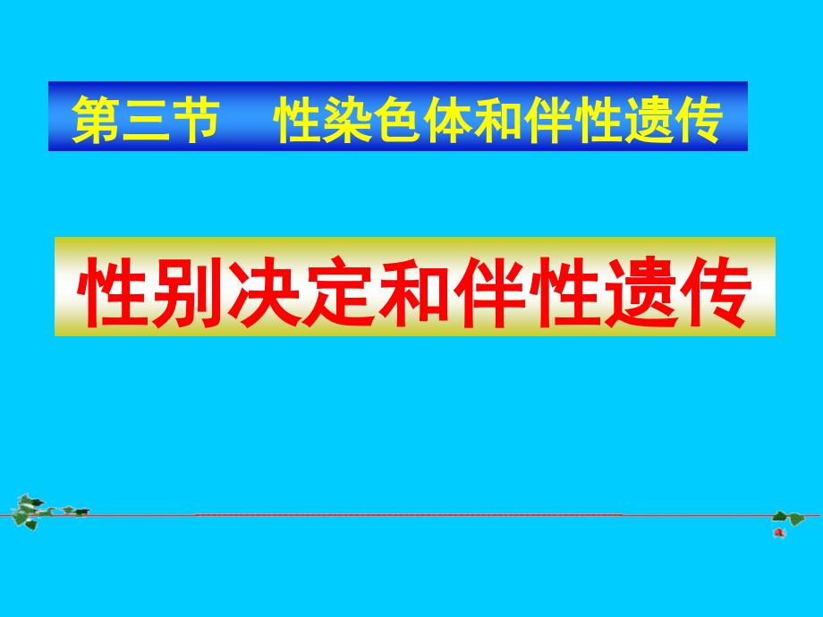 性染色体和伴性遗传课件_第1页