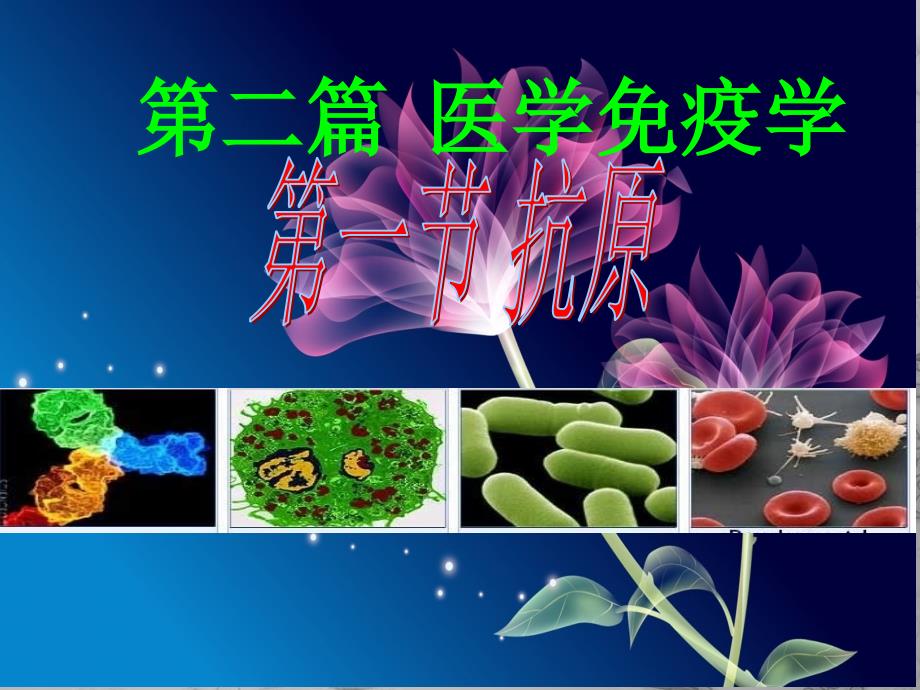 病原生物与免疫学基础--抗原--课件_第1页