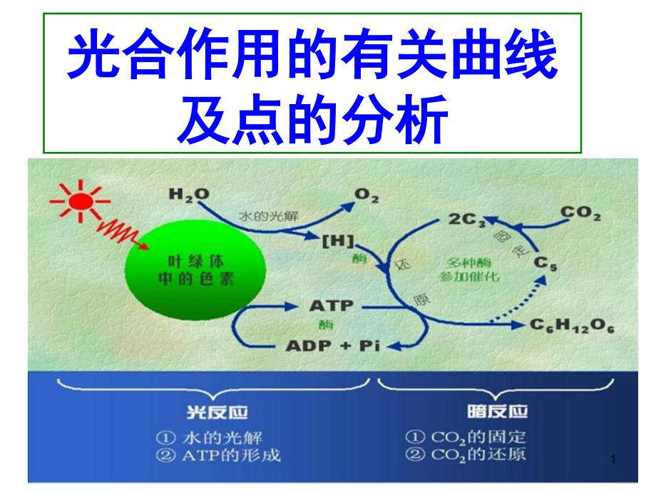 光合作用曲线及点的变化专题课件_第1页