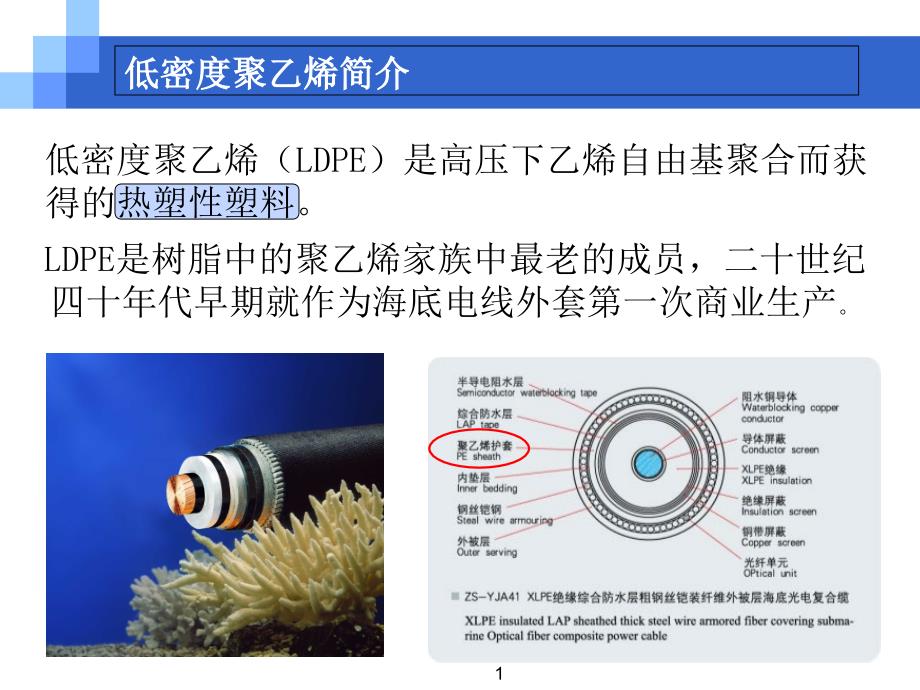 低密度聚乙烯课件_第1页