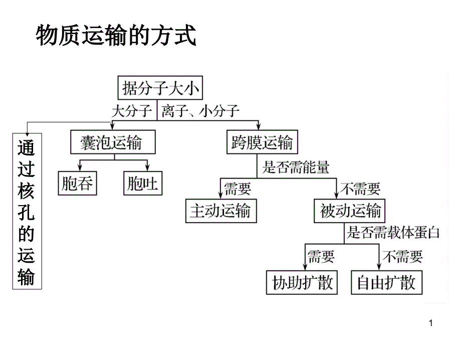 物质跨膜运输的方式复习课件_第1页