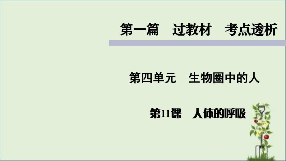 人教版七年级上册生物知识点精讲ppt课件人体的呼吸_第1页