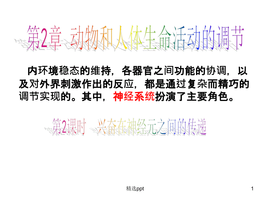 兴奋在神经元之间的传递完整课件_第1页